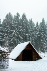 Schöne Winterlandschaft auf den Höhen des Thüringer Waldes bei Schmiedefeld - Thüringen