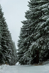 Schöne Winterlandschaft auf den Höhen des Thüringer Waldes bei Schmiedefeld - Thüringen