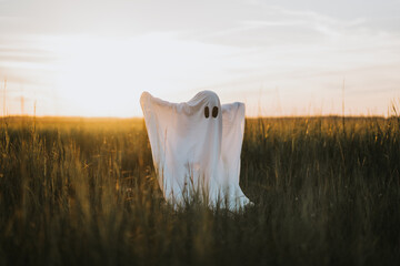 Obraz premium Ghost dancing in the marsh.