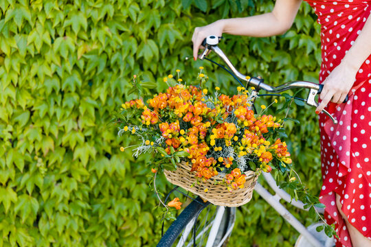 Woman sitting on bicycle with freesia flower's basket in front of ivy wall
