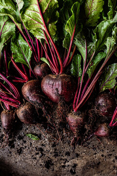 Fresh Homegrown Beetroots