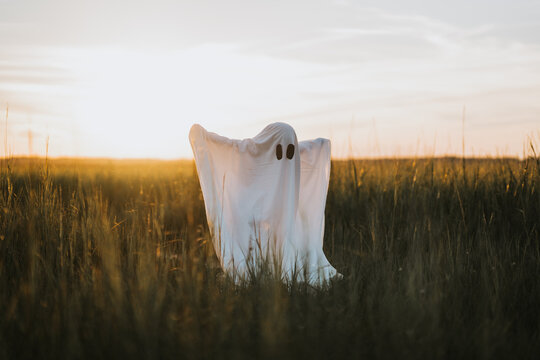 Ghost dancing in the marsh.