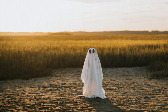 Ghost on the marsh.