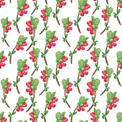 Aquarelle Lingonberry seamless pattern on white background. Watercolor hand drawing illustration. Perfect for textile.