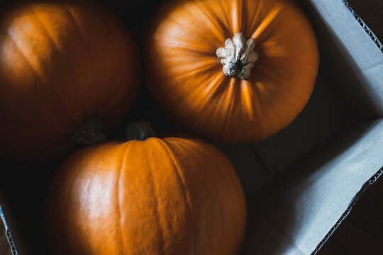Close up of three Pumpkins in a cardboard box