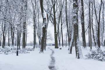 View of the snow-covered park in winter, snow-covered trees, bushes, and a bridge, Gomel, Belarus.