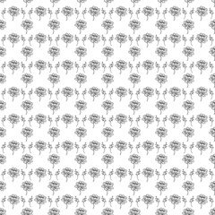 Seamless floral pattern. black and white background with flowers