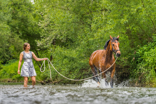 Young woman guiding horse on longe splashing in water