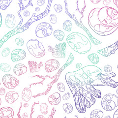 Marine seamless pattern. Gradient contour drawing. Different seashells and branches on a white background.
