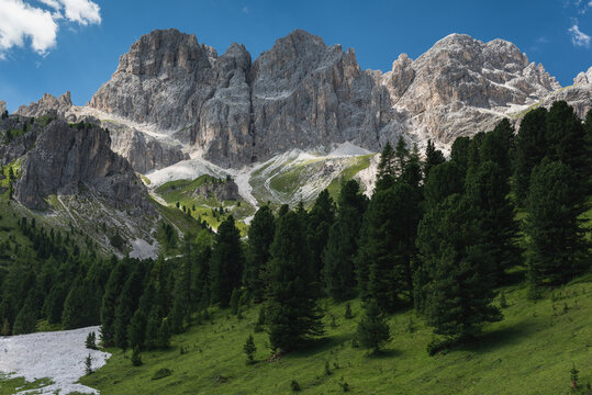 Landscape of mountains and forest
