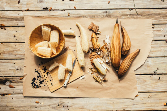 Luffa Sponge Flat Lay