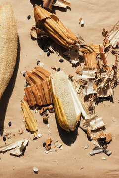 Dry Luffa Gourd 