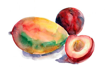 Watercolor of red plum with mango on white background. Illustration.
