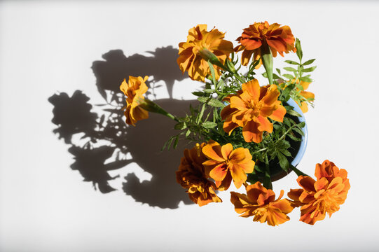 Looking Down on a Vase of Marigolds in Light and Shadow