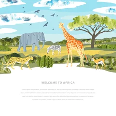  African landscape. Vector banner with animals, acacia tree, grass and place for text. Bright template for touristic, safari and zoo © GaliChe