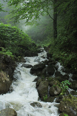 natural mountain stream landscape photo