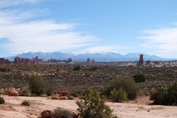 Paysage désertique rouge et vert avec montagnes enneigées en fond