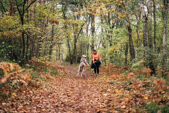A beautiful woman has fun with her dog in autumn