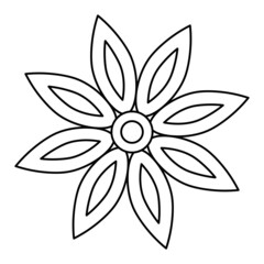 Star anise. Sketch. Badian. Vector illustration. Coloring book for children. Spices for drinks and pastries. Magnolia fruit. Outline on an isolated background. Doodle style. Idea for web design