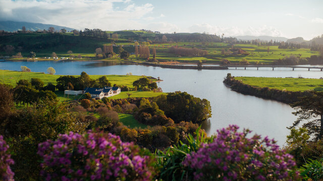 New Zealand Road Trip