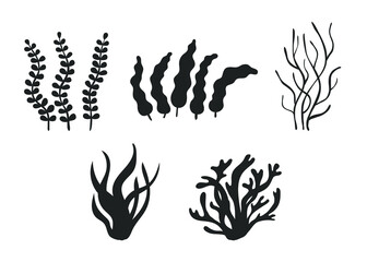 Set of different underwater sea plant, seaweed and algae black silhouette. Edible seaweed and leaves. Plants of aquarium. Vector contour illustration