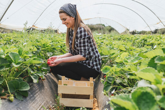 Smiling woman working in agricultural field at greenhouse - Powered by Adobe
