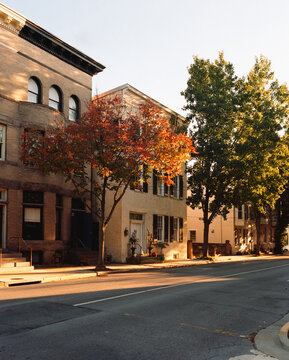 Changing leaves in Frederick, Maryland