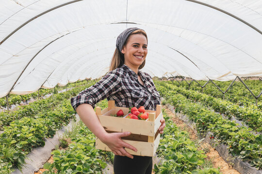 Smiling female farmer carrying crate of strawberries in greenhouse - Powered by Adobe