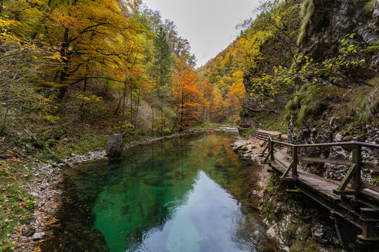 Wooden footpath to walk river in autumn   - Powered by Adobe