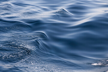Ripples on water surface