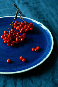 Red berries on a blue plate. 