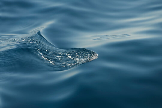 Ripples on water surface