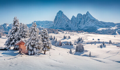 Christmas postcard. Astonishing winter view of Alpe di Siusi village with Plattkofel peak on...