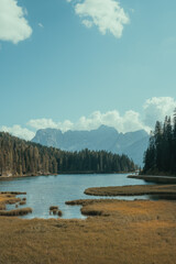 landscape of a lake in the middle of a meadow surrounded by trees and mountains