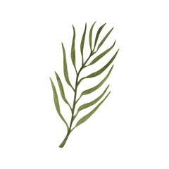 Fototapeta premium Hand drawn boho green leaf. Watercolor illustration leaves for wedding decoration and arrangements.