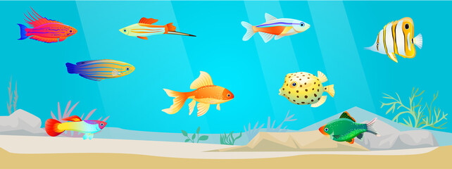 Naklejka na ściany i meble Underwater ocean fauna with exotic fishes. Ocean bottom with marine life reprsentatives. Marine underwater world with school of tropical fish. Seascape, undersea landscape vector illustration