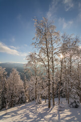 Beautiful white winter wonderland mountain scenery in the Carpathian on a cold sunny day with blue sky.