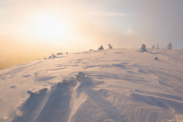 The structure of snow on a mountain slope