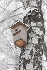 Birdhouse in winter 