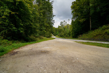 abgelegene land Straße die durch den Wald führt
