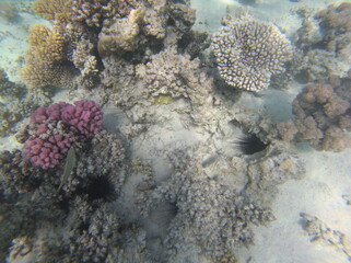 Sharm El Sheikh, Egipto
