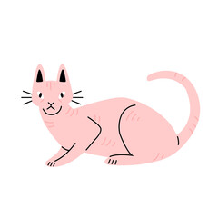 Sphynx cat in flat cartoon style. Illustration isolated on white background.