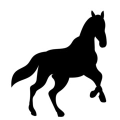 silhouette of a running horse on a white background, isolated