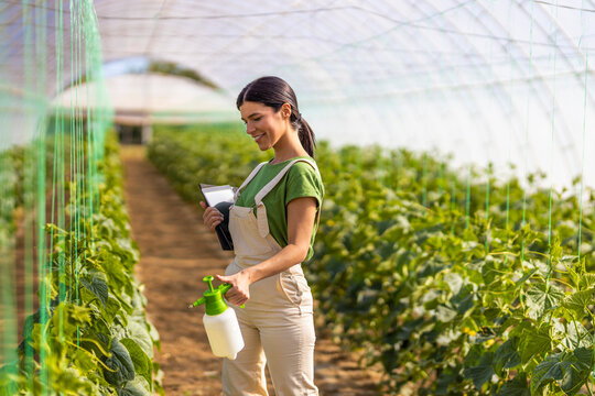 Smiling female farmer spraying water on crops at greenhouse