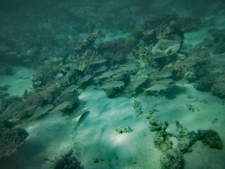 Sharm El Sheikh, Egipto