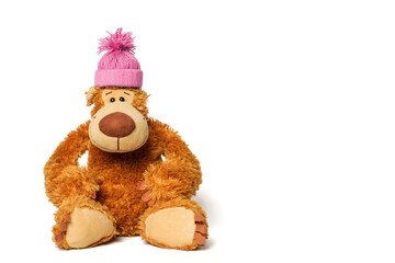 Teddy bear with a pink knitted hat on his head and a pink alarm clock in his paw.