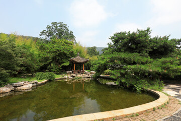 Pond scenery of Beijing Botanical Garden