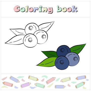 Coloring book page for children with colorful blueberry and sketch to color. Cartoon style. Preschool education. Vector illustration, eps