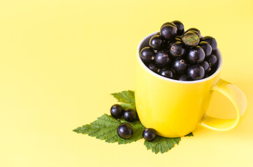 A yellow mug standing on green currant leaves, filled with large currant berries on a bright yellow background close-up.	