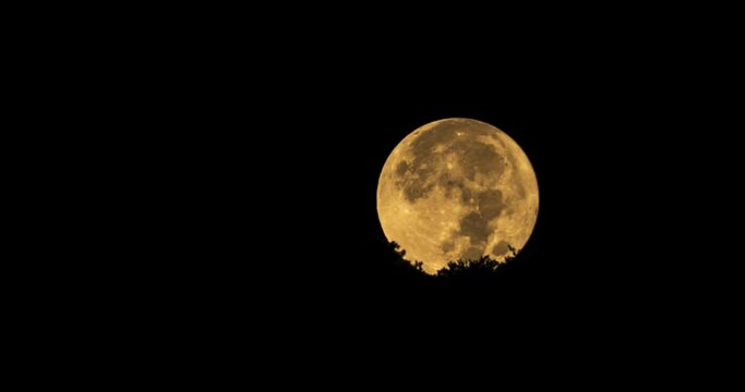 The full moon sets behind a mountain covered with trees time lapse
